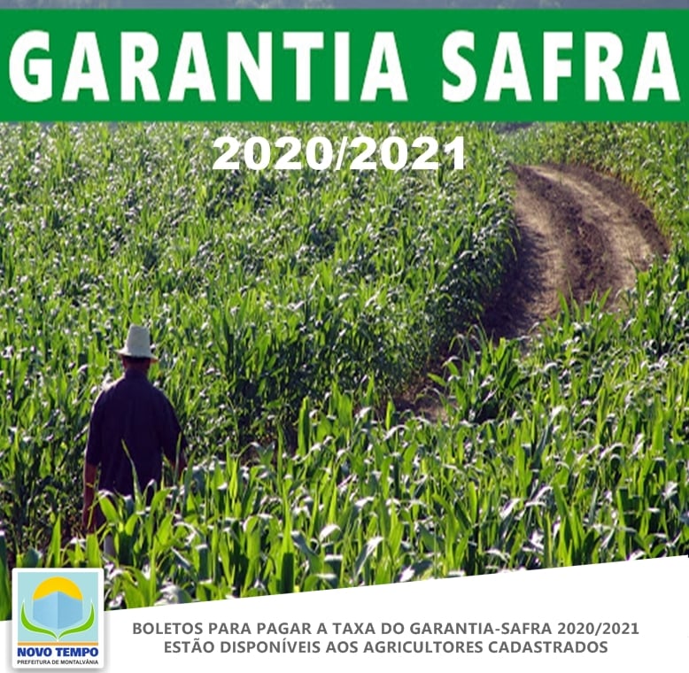 foto taxasafra 27112020